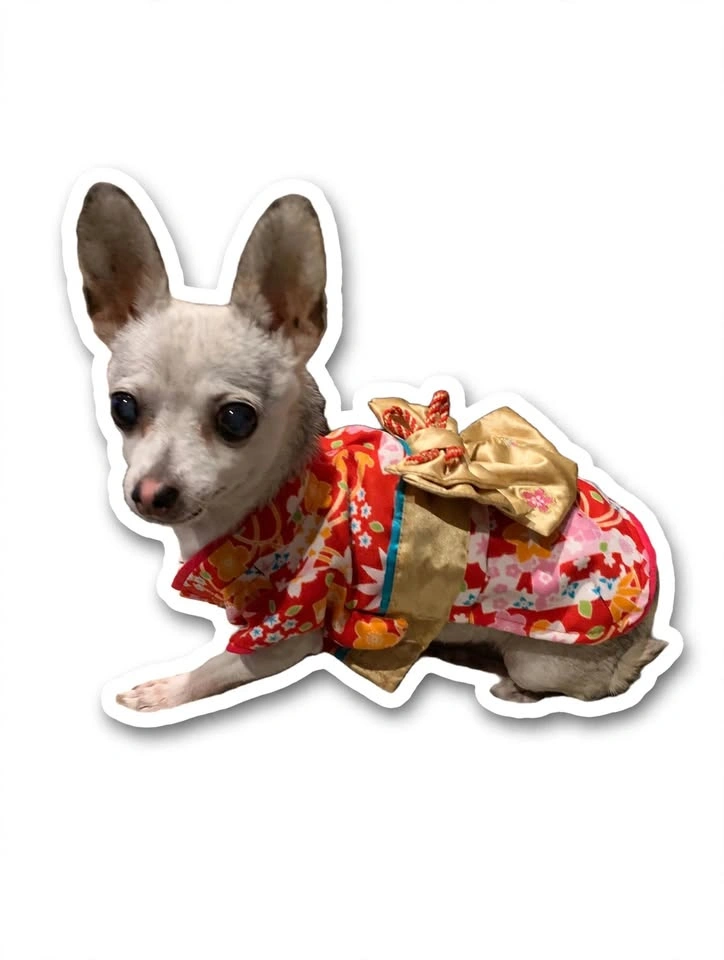 Custom Pet Sticker Sheets - Waterproof Vinyl Decals - photo 3