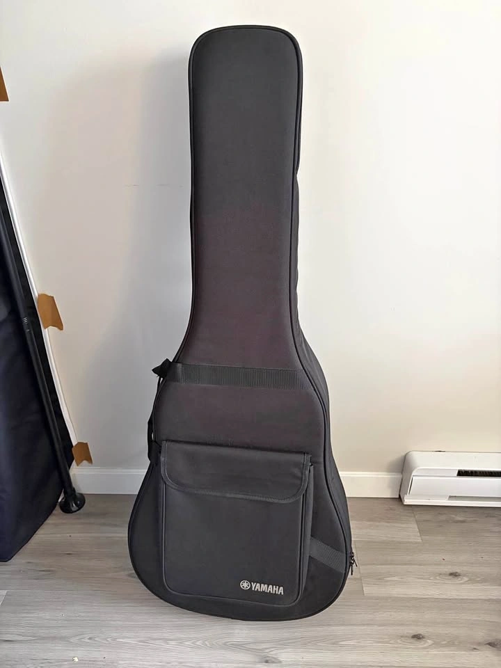 Guitar gig bag