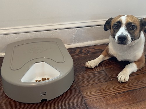 NEW PetSafe Eatwell Automatic 5 Meal Pet Feeder Cat Dog - photo 2