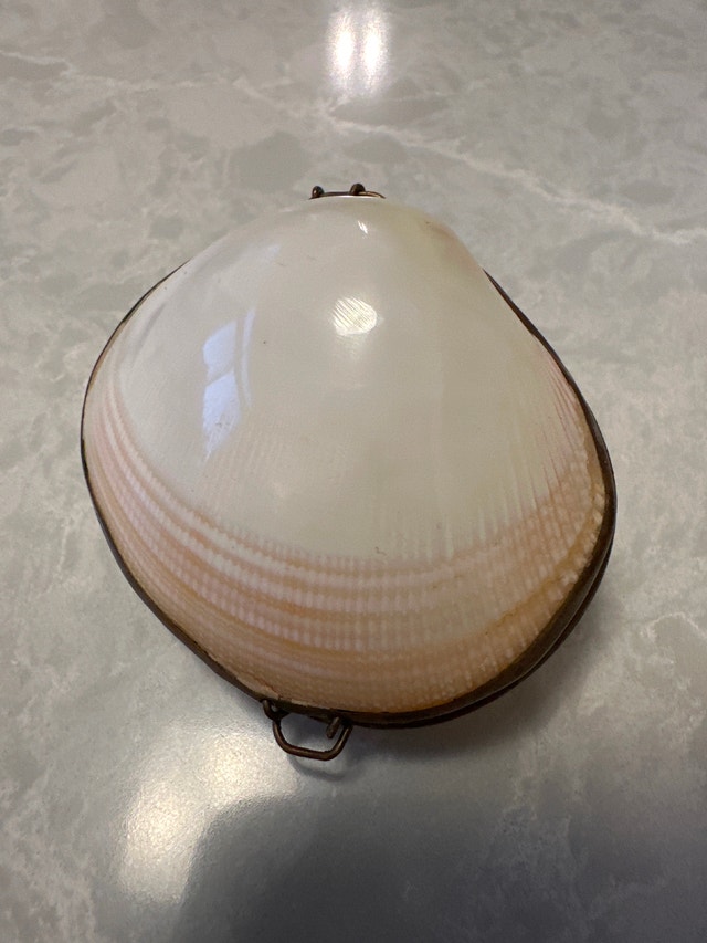 Vintage Sea Shell Brass Hinged Jewelry Mermaid Trinket Box - photo 3