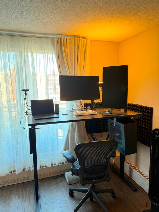 Full Standing Desk Setup