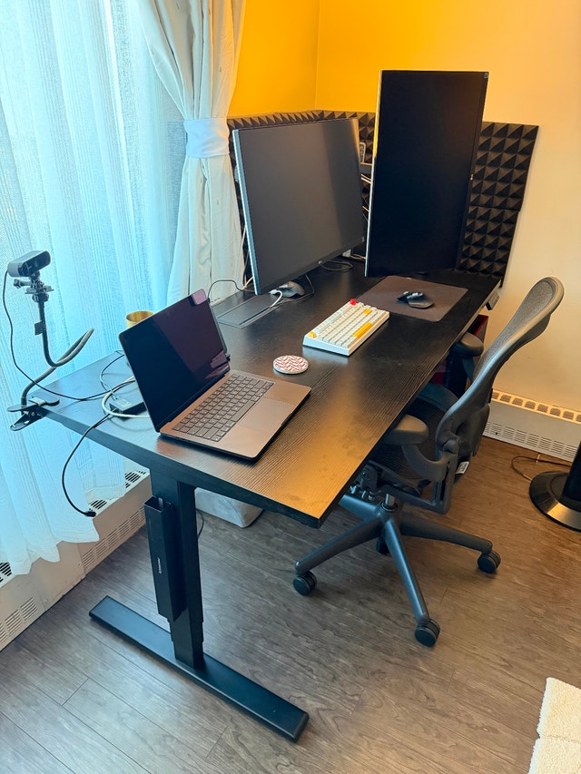 Full Standing Desk Setup - photo 2