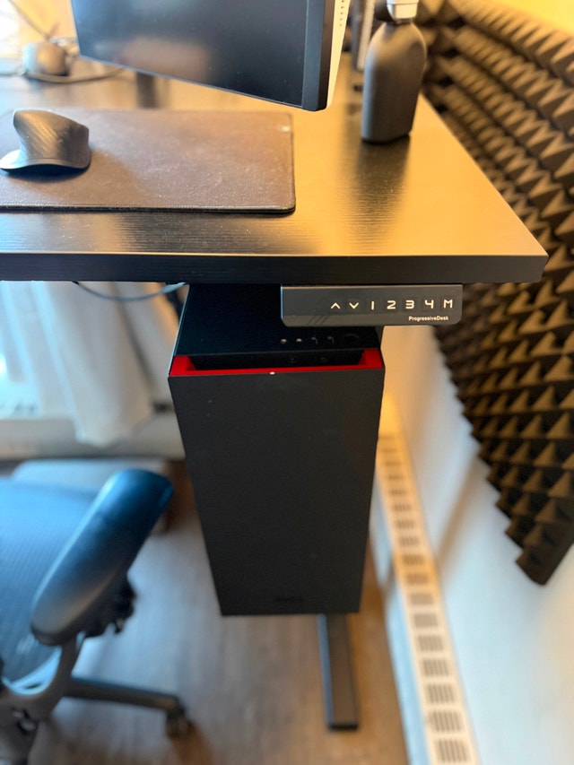 Full Standing Desk Setup - photo 3