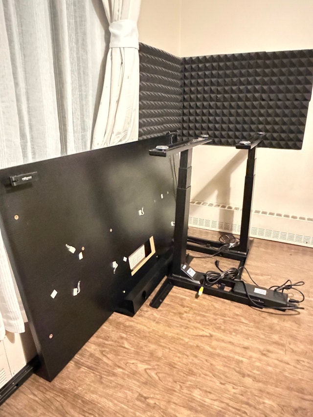 Full Standing Desk Setup - photo 4