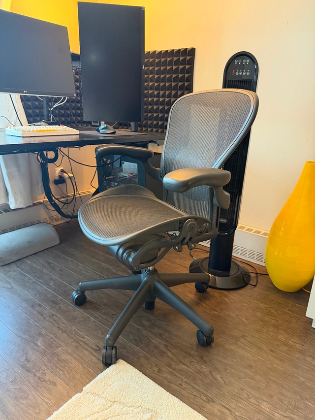 Full Standing Desk Setup - photo 5