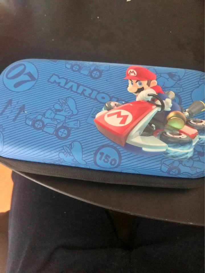 Nintendo Switch Travel Case