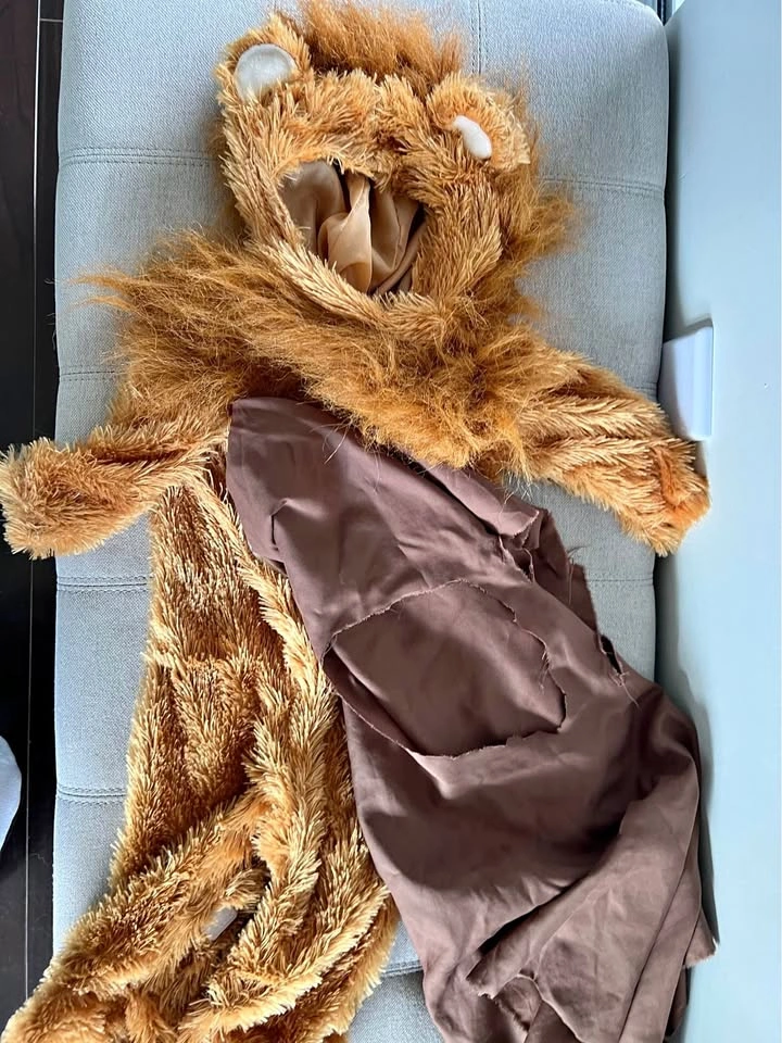 Ewok Star Wars 6-12 months costume