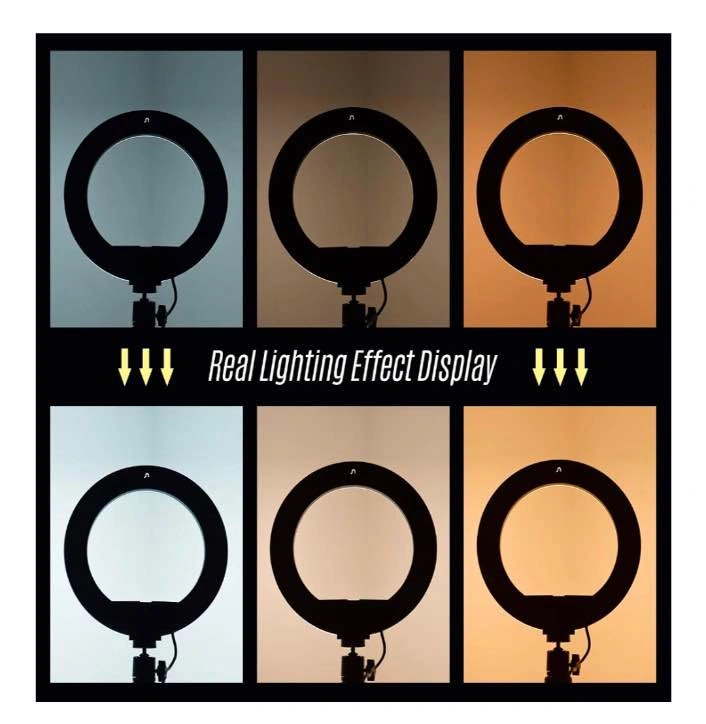 10 Inch LED Ring Light with Dimmable Color Modes - photo 3