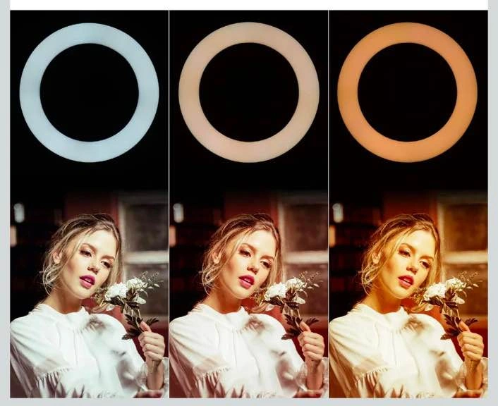10 Inch LED Ring Light with Dimmable Color Modes - photo 4