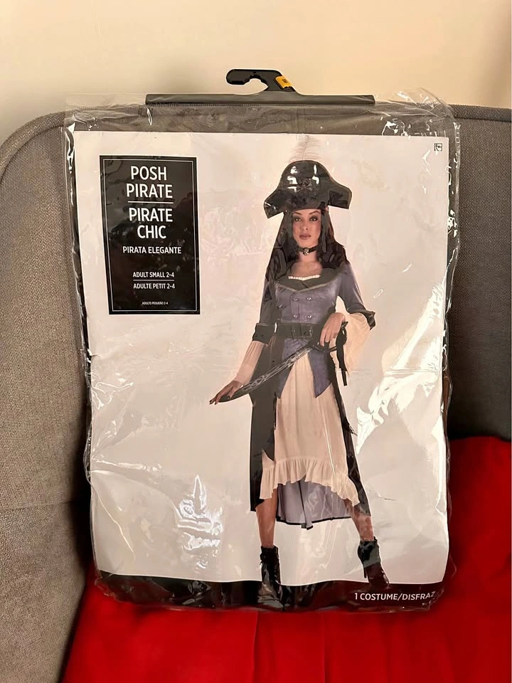 Adult Posh Pirate Blue/Brown Dress Halloween Costume Small 2-4