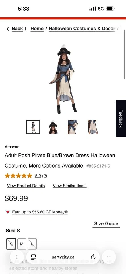 Adult Posh Pirate Blue/Brown Dress Halloween Costume Small 2-4 - photo 2