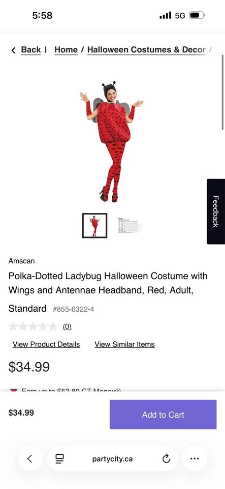 Adult Polka-Dotted Ladybug Halloween Costume - photo 2