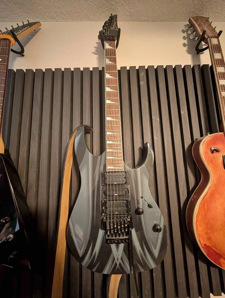 Ibanez RG Series (with gig bag)