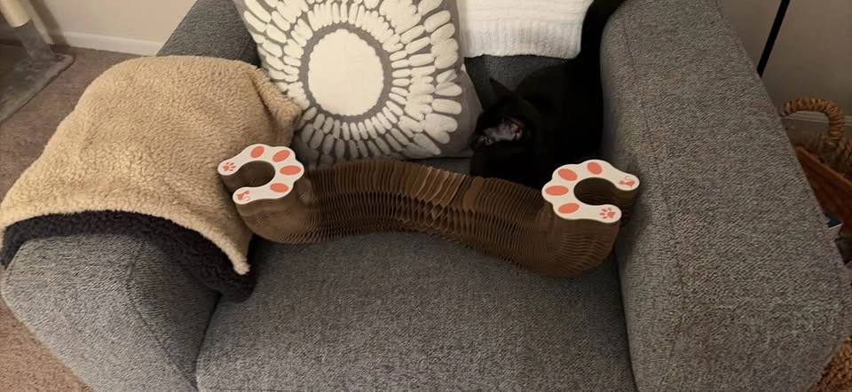 Self scratching cat toy with magnetic sides - photo 3