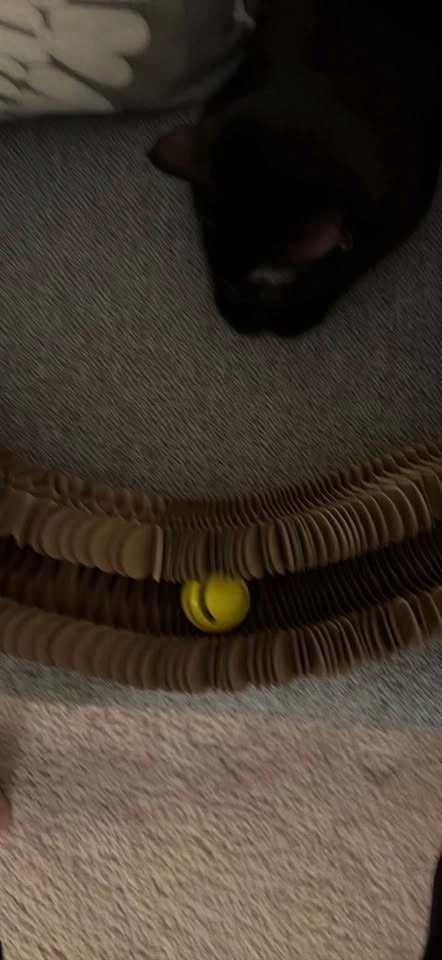 Self scratching cat toy with magnetic sides - photo 4