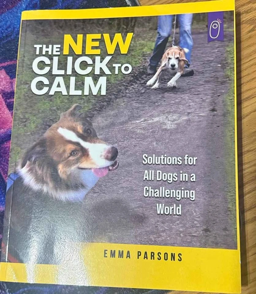 The New Click to Calm book - Emma Parsons