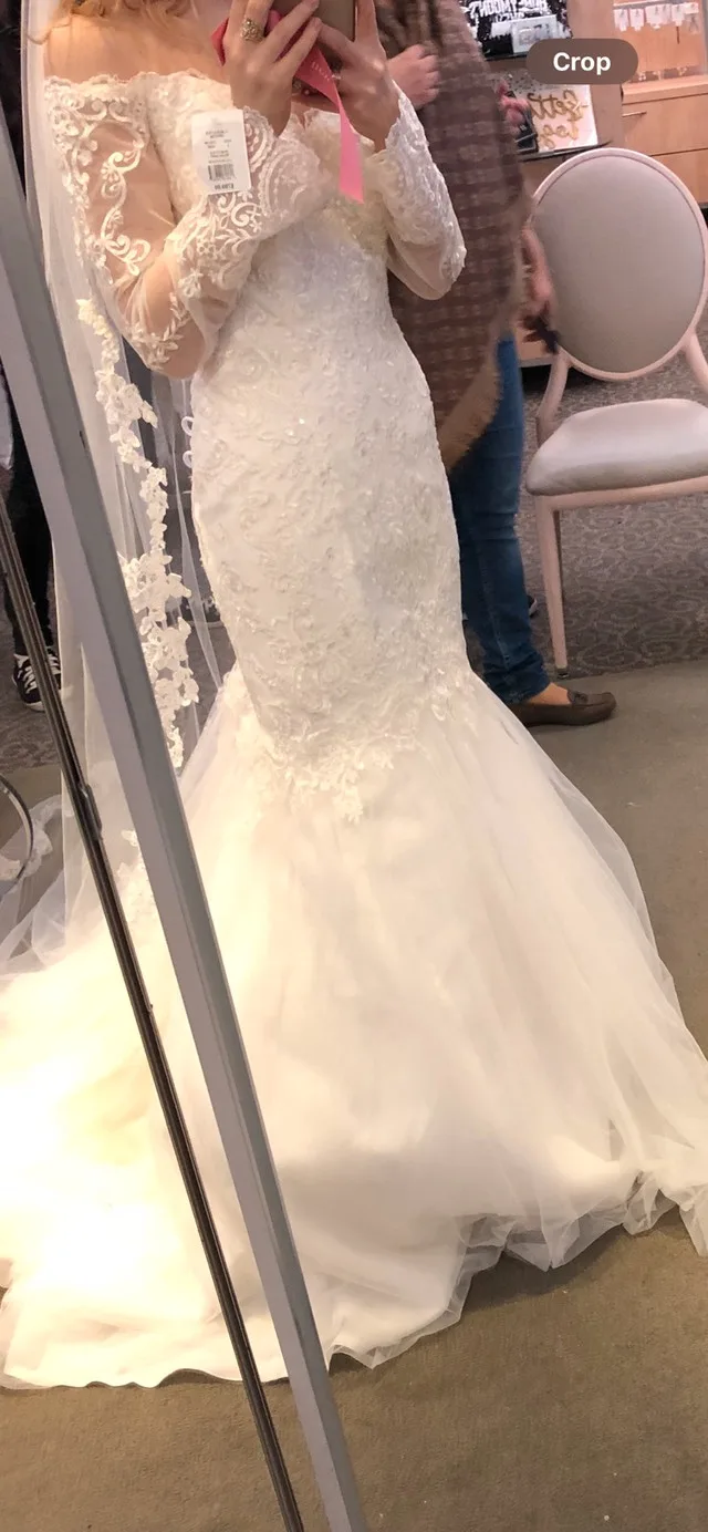 DAVID’S BRIDAL Wedding Dress image indicator(3)