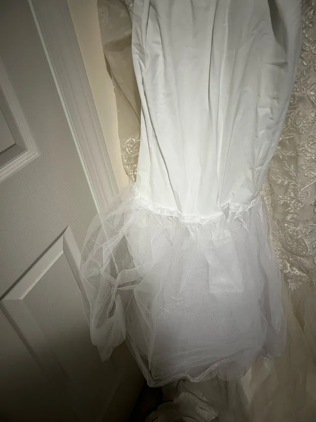 DAVID’S BRIDAL Wedding Dress image indicator(5)