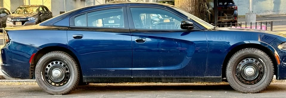 2021 Dodge Charger · Pursuit AWD - photo 4