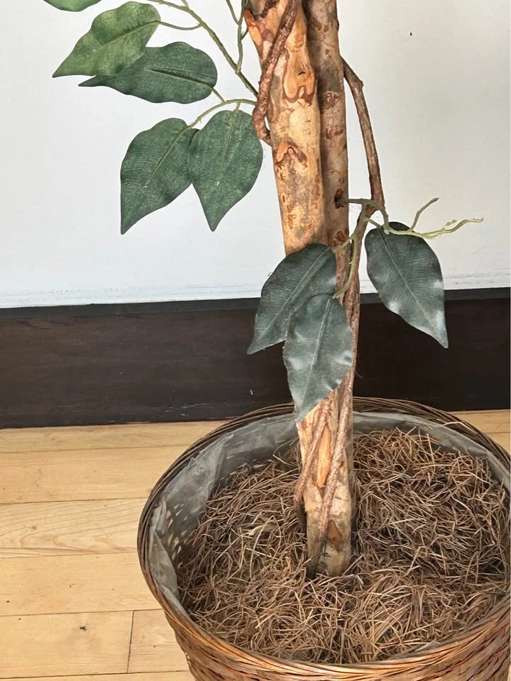6 ft Artificial Ficus Tree in Woven Basket - photo 3