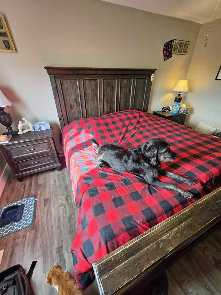King Size Dark Wood Bedframe – Solid & Stylish