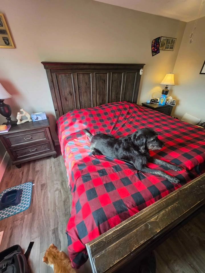 King Size Dark Wood Bedframe – Solid & Stylish - photo 2