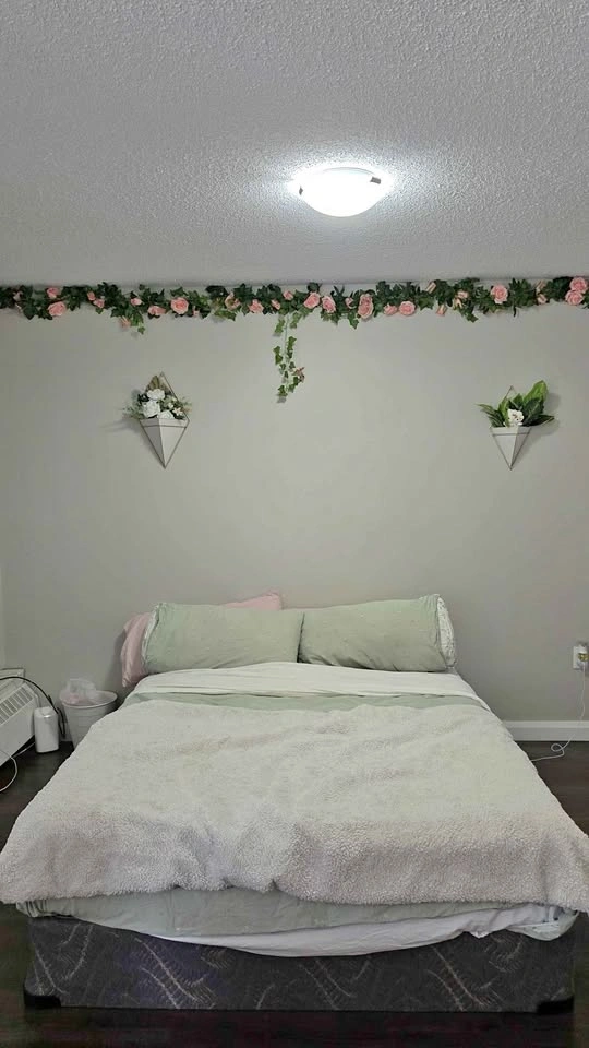 Queen Bed