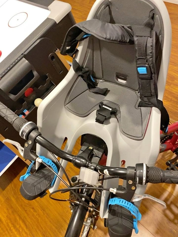 Thule Front-Mounted Child Bike Seat – Complete with Mount & Key