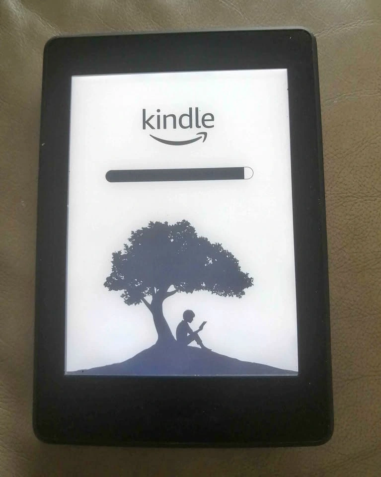 Amazon Kindle Paperwhite (7th Generation)