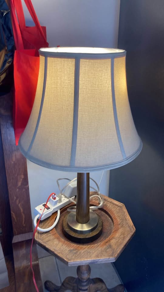 Available 2 bulb lamp w/ white lamp shade. Pull down Jeff - photo 5