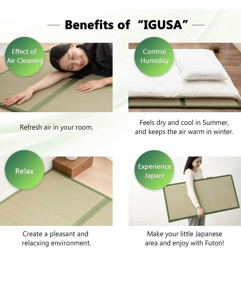 Brand New Japanese Tatami Mat Twin Natural Rush Grass - photo 5