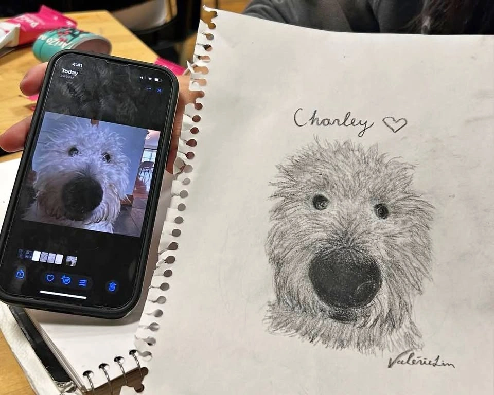 Custom Pet Portraits