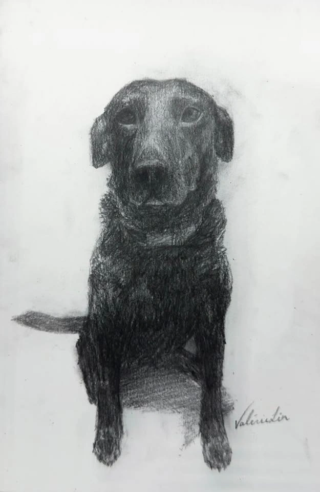 Custom Pet Portraits - photo 2