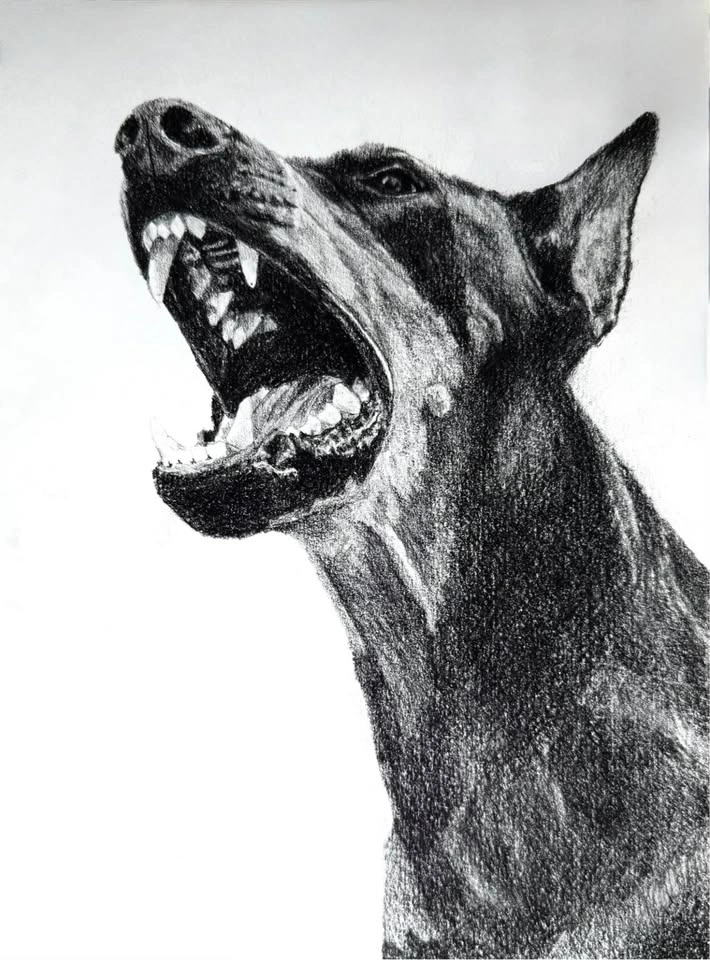 Custom Pet Portraits - photo 3