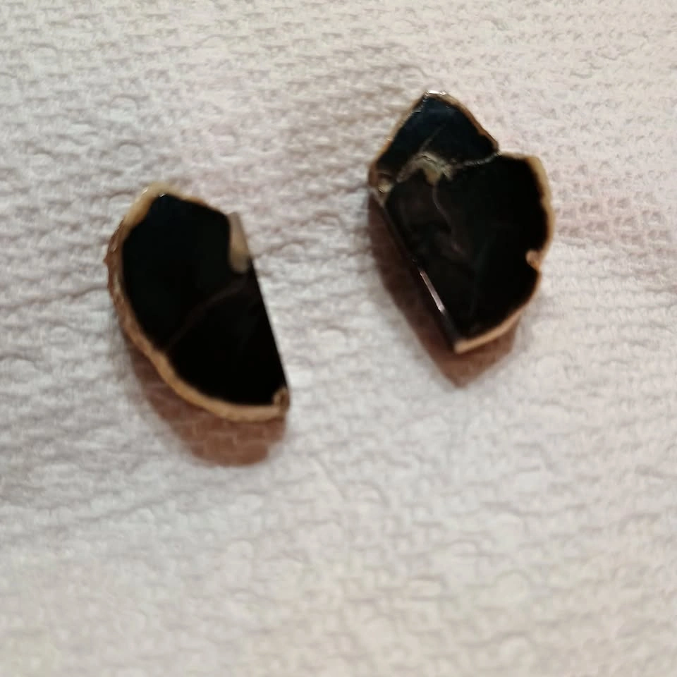 Vintage Petrified Wood Cufflinks Polished Black Stone Gold Tone