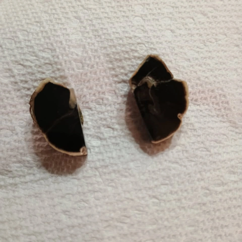 Vintage Petrified Wood Cufflinks Polished Black Stone Gold Tone - photo 2