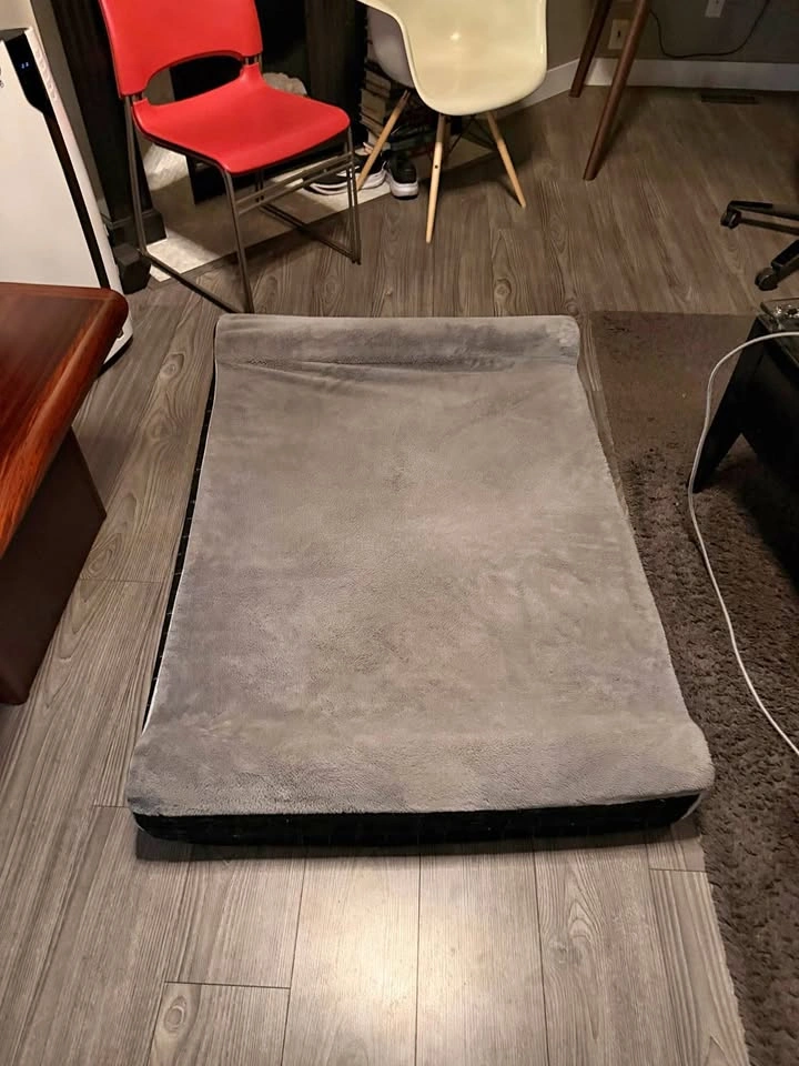 Laifug XL Memory Foam Orthopedic Dog Bed