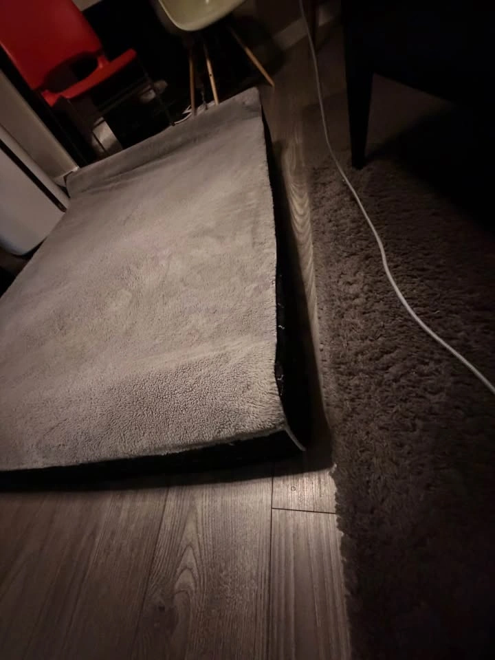 Laifug XL Memory Foam Orthopedic Dog Bed - photo 2