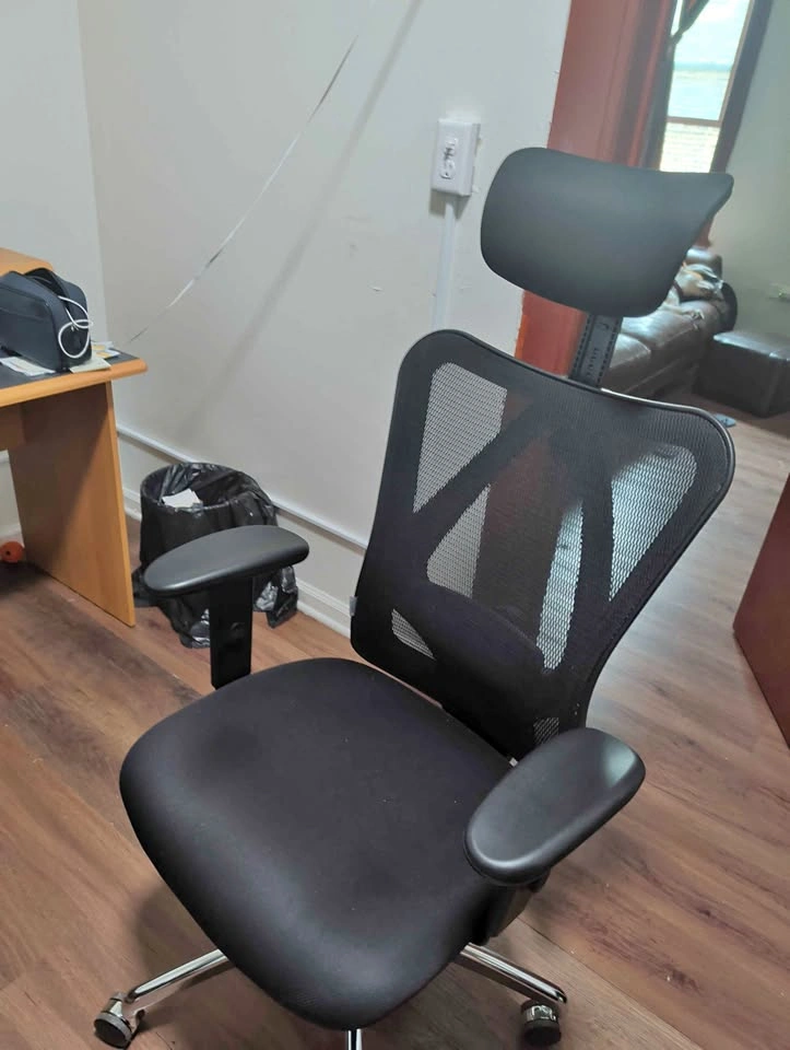 SIHOO M18 Ergonomic Office Chair with Headrest