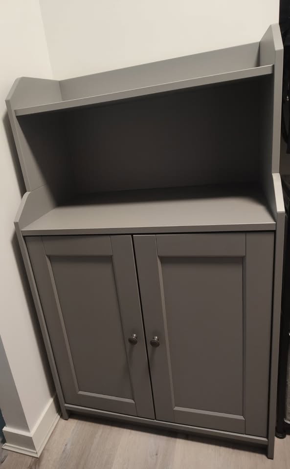 IKEA Cabinet with 2 doors