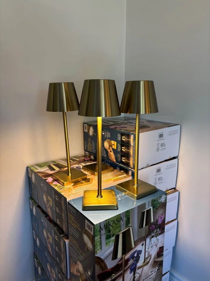 Cordless Lamp Rental - photo 2