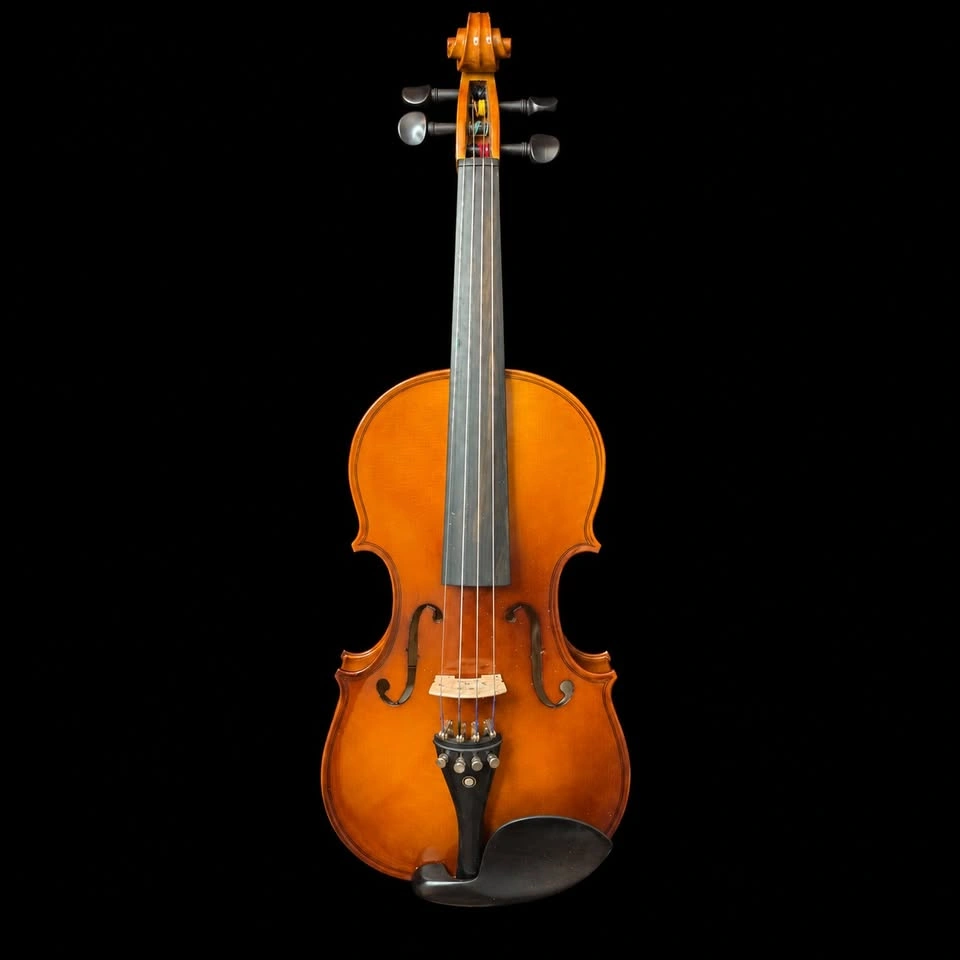 Cecilio 4/4 Violin Kit with Case & 2 Bows – New Open Box - photo 3