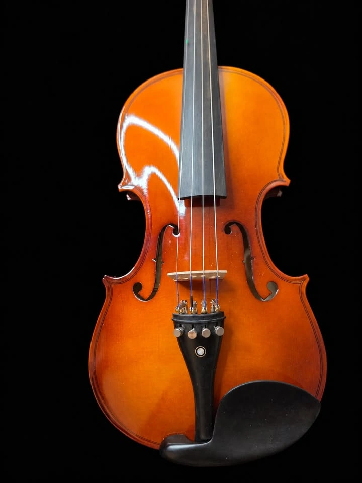 Cecilio 4/4 Violin Kit with Case & 2 Bows – New Open Box - photo 4