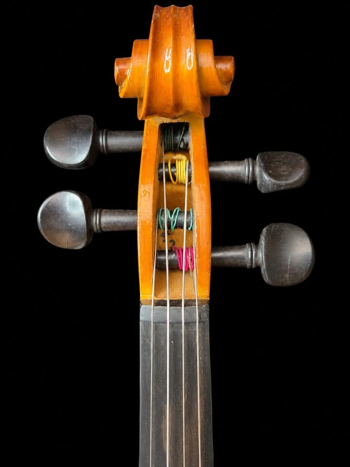Cecilio 4/4 Violin Kit with Case & 2 Bows – New Open Box - photo 5
