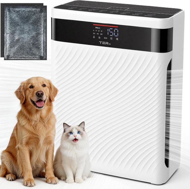 air purifier