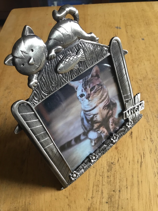 cat picture frame