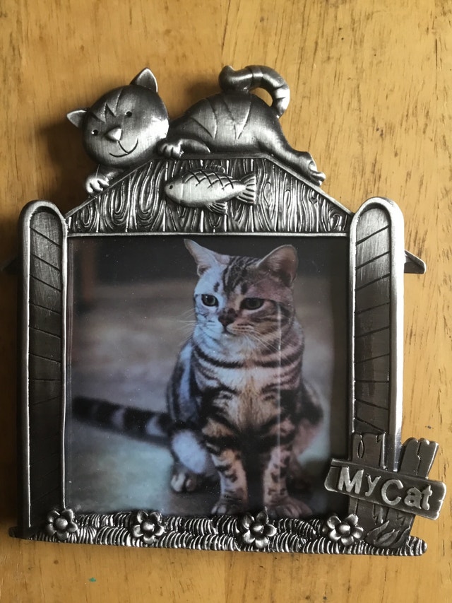 cat picture frame - photo 2