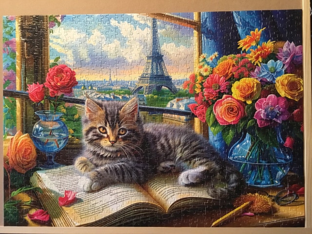 jigsaw puzzle - shadows of Paris