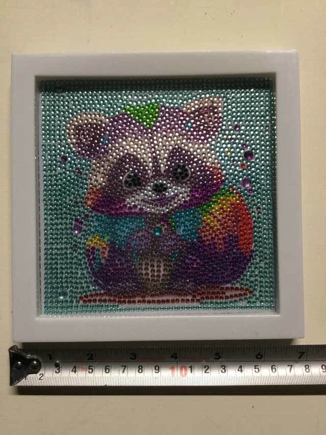 cute raccoon picture