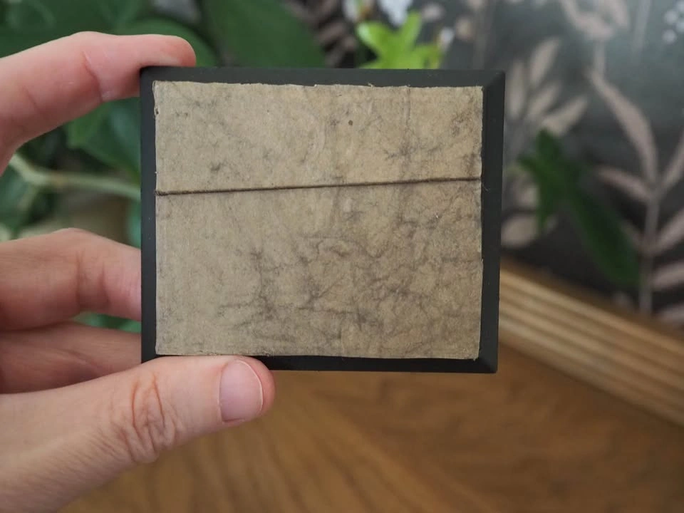Miniature Artwork (Black Swan Black Frame) - photo 2